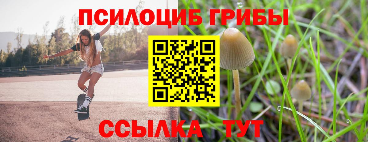 Галлюциногенные грибы Psilocybine cubensis Уссурийск
