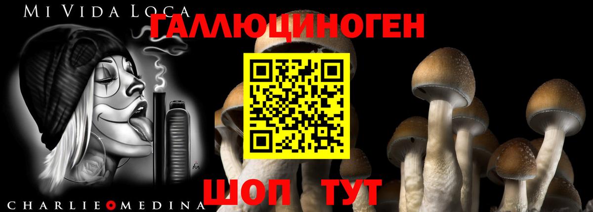 Псилоцибиновые грибы ЛСД  Вход с VPN  Уссурийск 